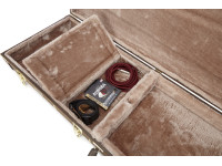 Gator Deluxe Case E-Guitar Vintage Gator Deluxe Case E-Guitar Vintage